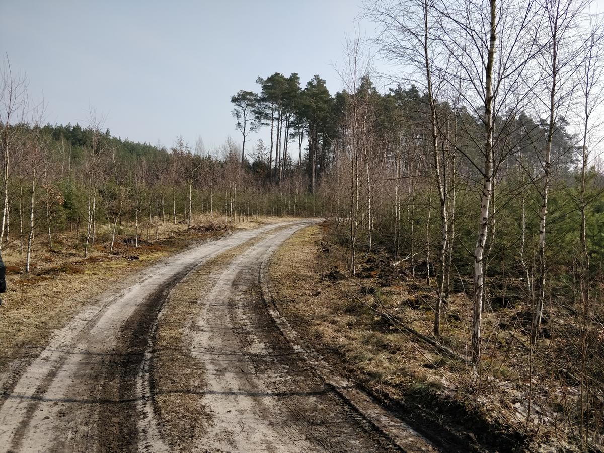 Дома для отпуска Dom w Wieleniu Wieleń Północny-6